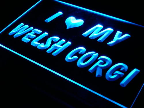 I Love My Welsh Corgi Dog Pet Neon Light Sign
